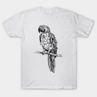 Parrot image T-Shirt